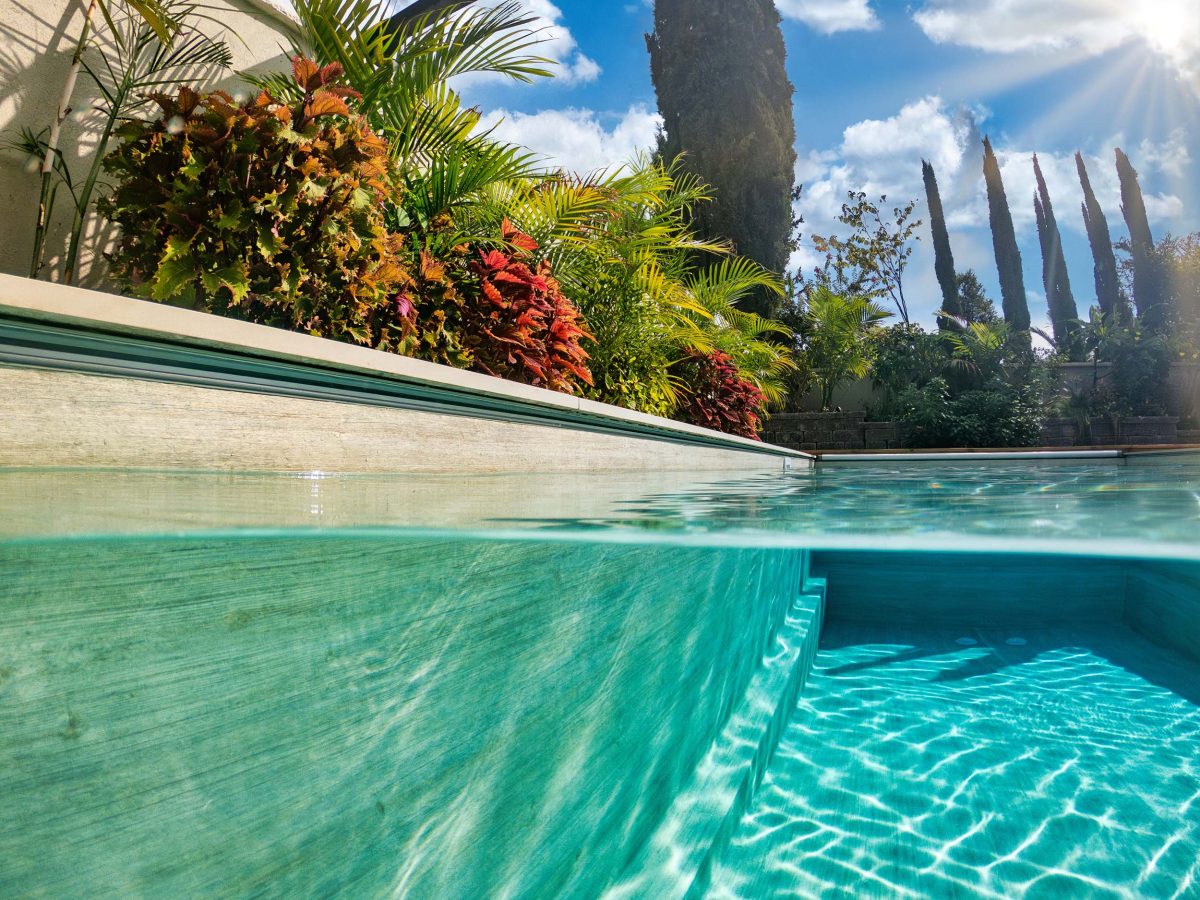 ხის ეფექტი, ლარიქსი - Image 3